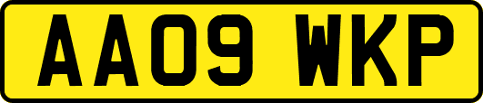 AA09WKP