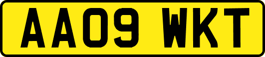 AA09WKT