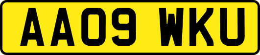AA09WKU