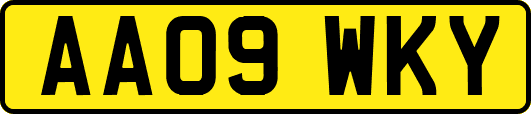 AA09WKY
