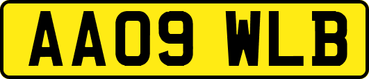 AA09WLB