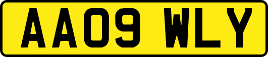 AA09WLY