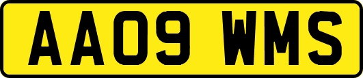 AA09WMS