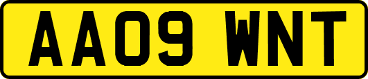 AA09WNT