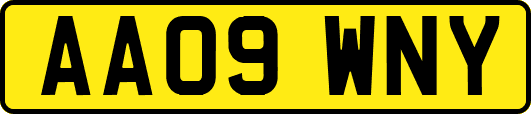 AA09WNY