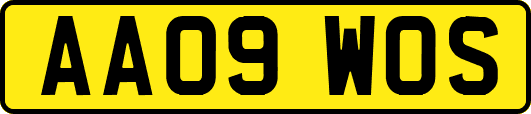AA09WOS