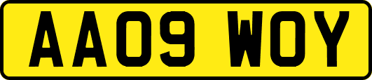 AA09WOY