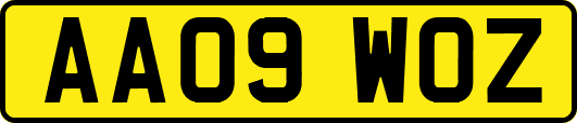 AA09WOZ
