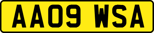 AA09WSA