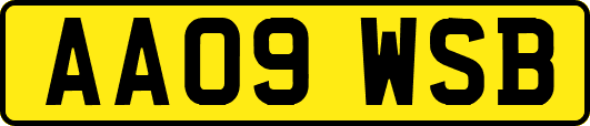 AA09WSB