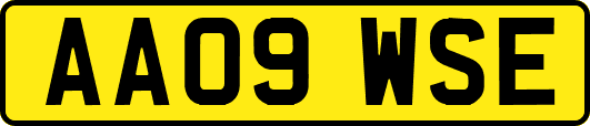 AA09WSE