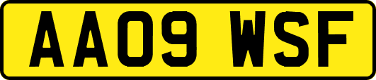AA09WSF