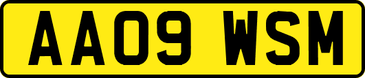 AA09WSM