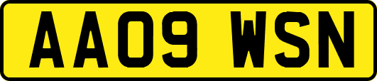 AA09WSN