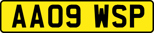 AA09WSP