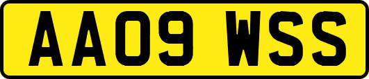 AA09WSS