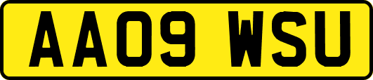 AA09WSU