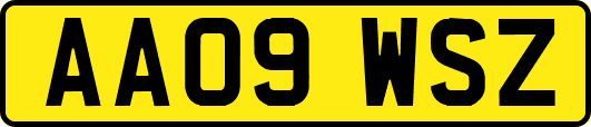 AA09WSZ