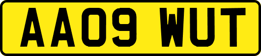 AA09WUT