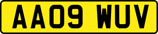 AA09WUV