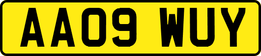 AA09WUY