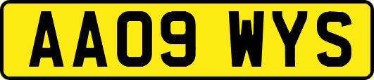 AA09WYS