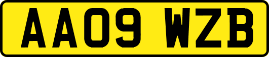 AA09WZB