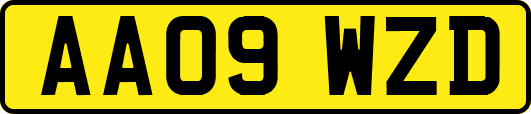 AA09WZD