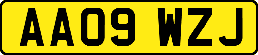 AA09WZJ