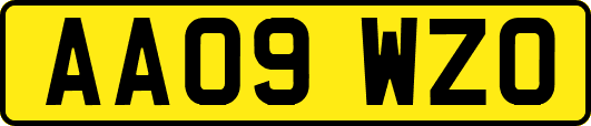 AA09WZO