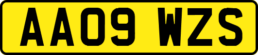 AA09WZS
