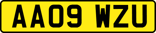 AA09WZU