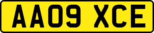 AA09XCE