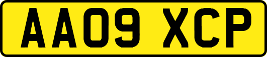 AA09XCP