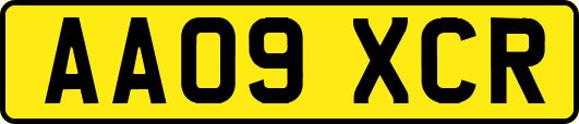 AA09XCR