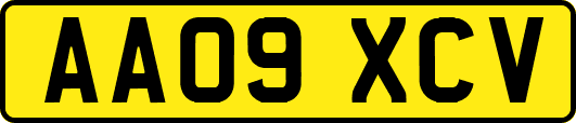 AA09XCV