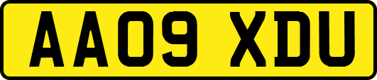 AA09XDU