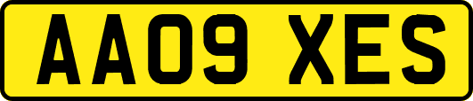 AA09XES