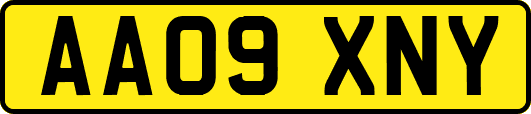 AA09XNY