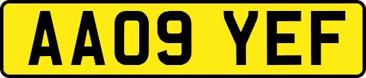 AA09YEF