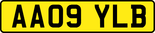 AA09YLB