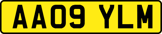 AA09YLM