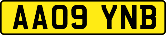 AA09YNB