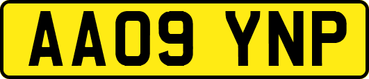 AA09YNP