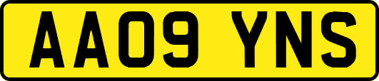 AA09YNS