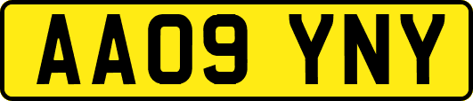 AA09YNY