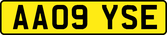 AA09YSE