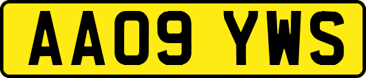AA09YWS