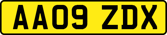 AA09ZDX