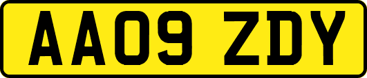 AA09ZDY